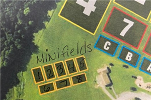 Mini fields Stringham
