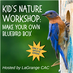 Bluebird Box Build
