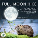 Full Moon Hike