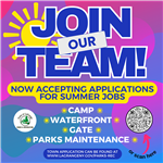 Town Job Application