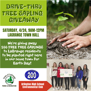 Drive-Thru Tree Sapling Giveaway